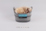 Bath gife sets
